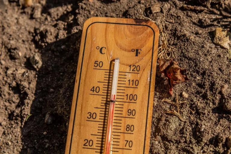 Scorching North Texas Summer Heat
