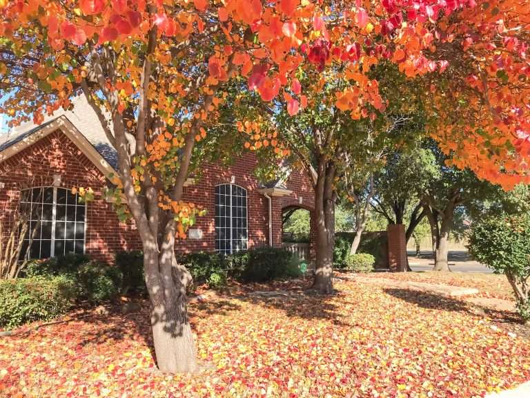 Fall Landscape